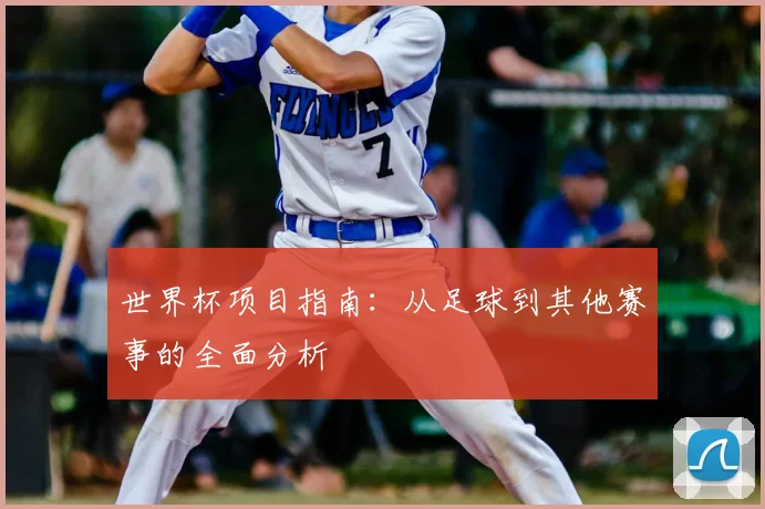 世界杯项目指南:从足球到其他赛事的全面分析