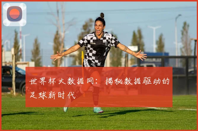 世界杯大数据网:揭秘数据驱动的足球新时代