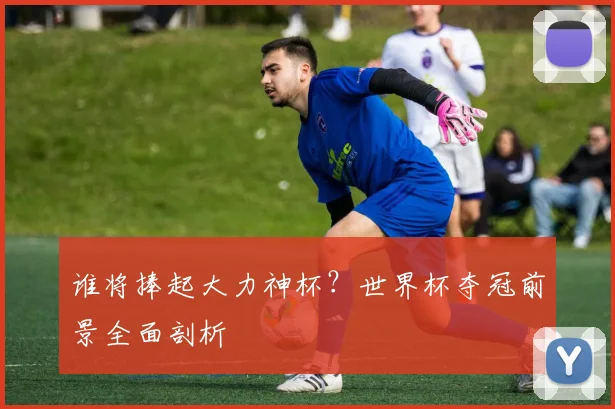 谁将捧起大力神杯？世界杯夺冠前景全面剖析